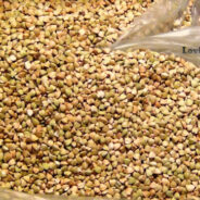 Buckwheat – A Very Nutritious Food