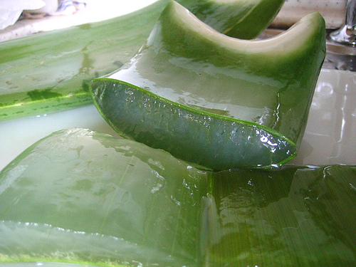 Aloe Vera Health Benefits